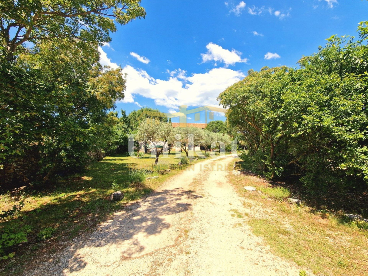 Autentica proprietà con casa in pietra e ampio terreno